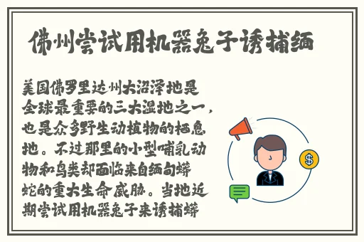 黑土娴熟腿法